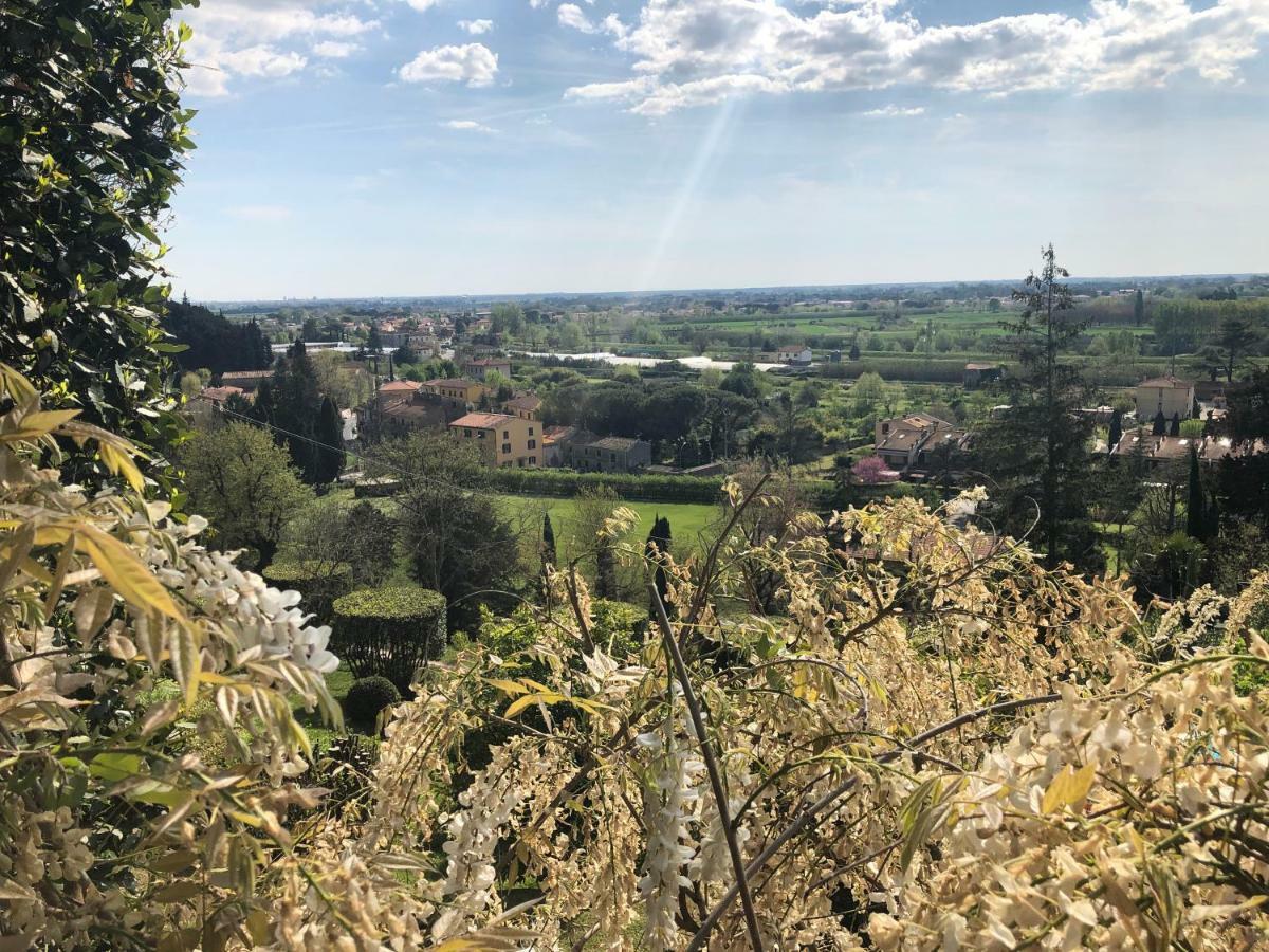 Villa Alta - Residenza D'Epoca Con Piscina ซานจูเลียโน แตร์เม ภายนอก รูปภาพ